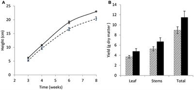 Detection of Potential Chloroplastic Substrates for Polyphenol Oxidase Suggests a Role in Undamaged Leaves